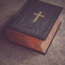 kiwihug l4gw27xzn1i unsplash 1.png